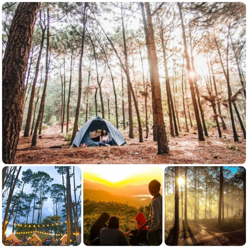 RỪNG THÔNG KHÁNH SƠN - "ĐÀ LẠT THỨ HAI" Ở KHÁNH HÒA