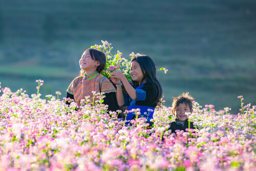9月2日にはソバの花を見に四馬崋愛山へ