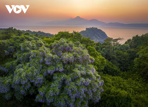 ソンチャ半島の絵のように美しい瞬間
