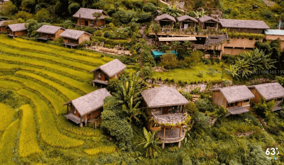 Eco Palms House - Homestay theo phong cách xanh độc đáo tại Sa Pa