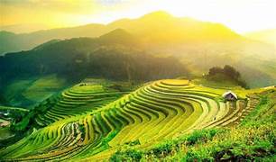 ホアンスーピの段々畑の「楽園」の風景に驚愕