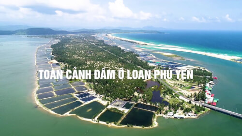 Toàn cảnh đầm Ô Loan