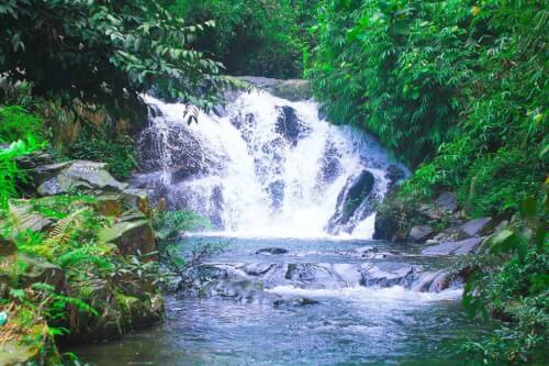 アオジオイの和やかなコーナー