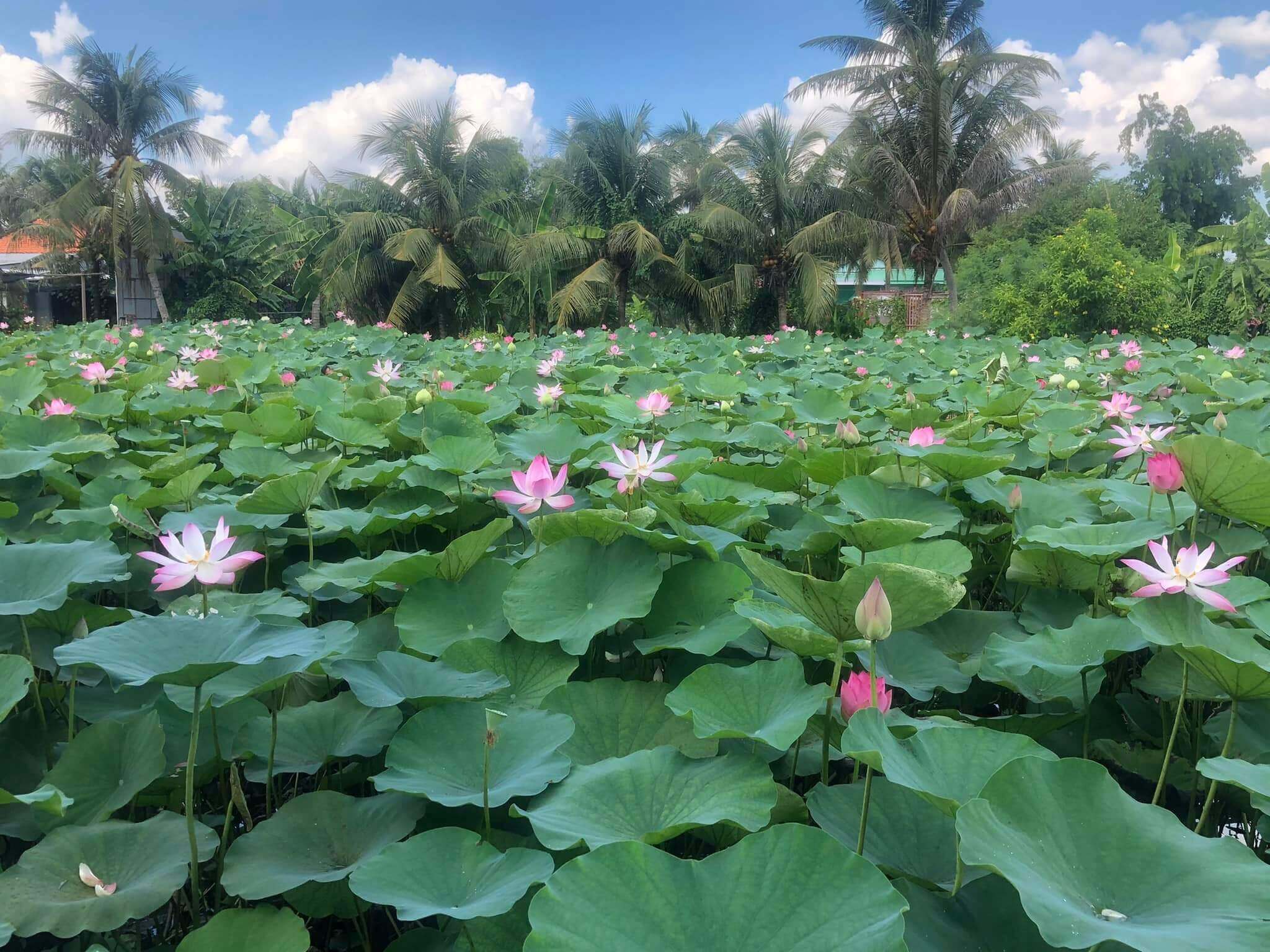 Bách Nhật Hoa Viên