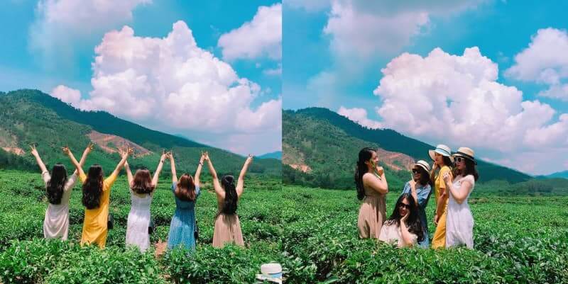 Đồi chè - địa điểm picnic lý tưởng cùng bạn bè