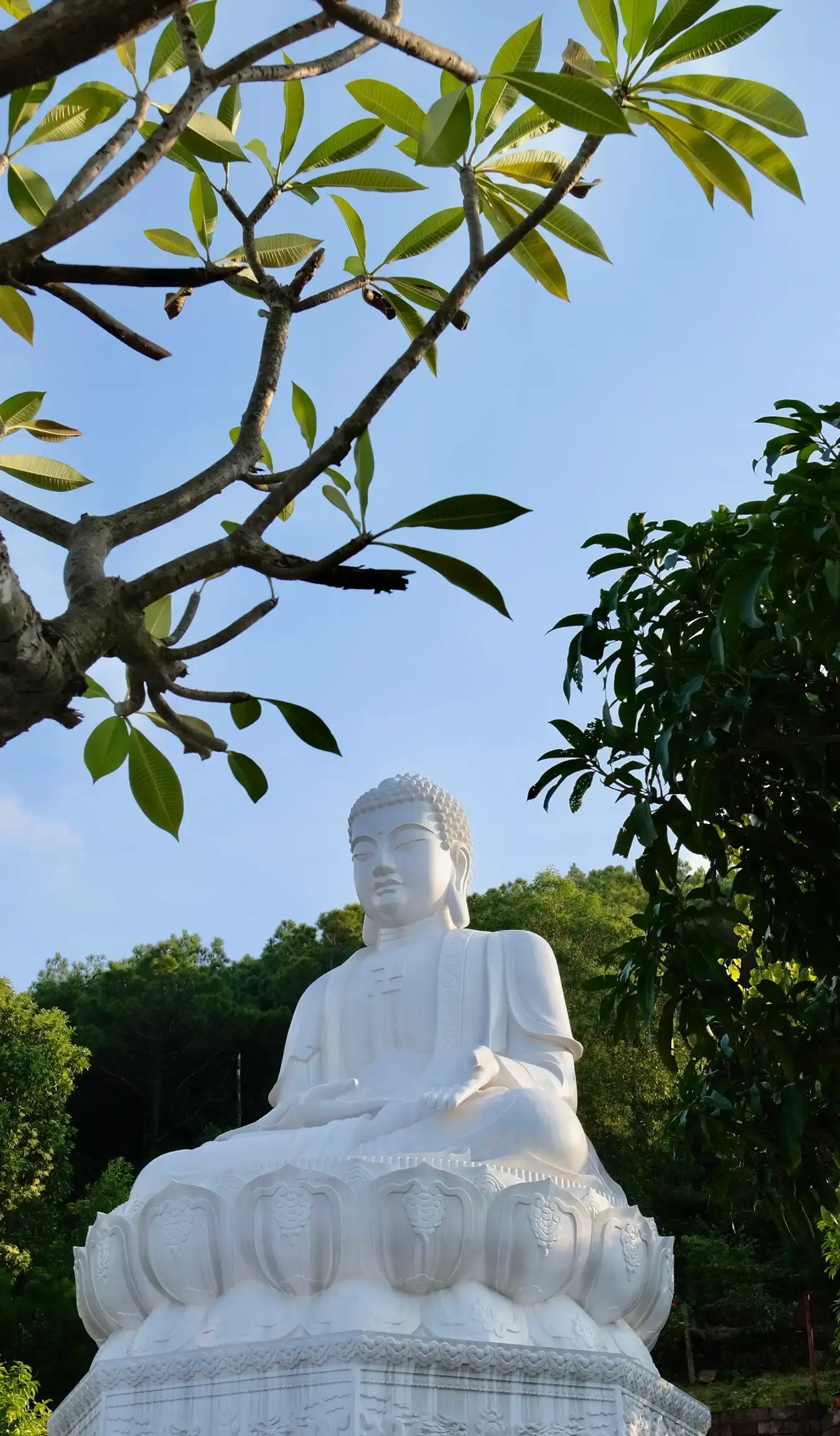 山の頂上には純粋な精神的な観光地があります