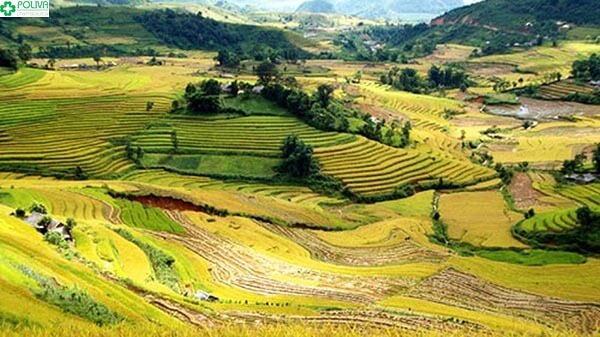 新和高原は自然の傑作