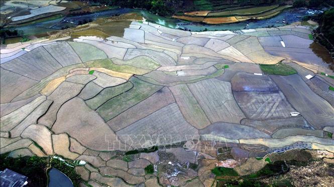 土砂降りの季節に驚くエトン