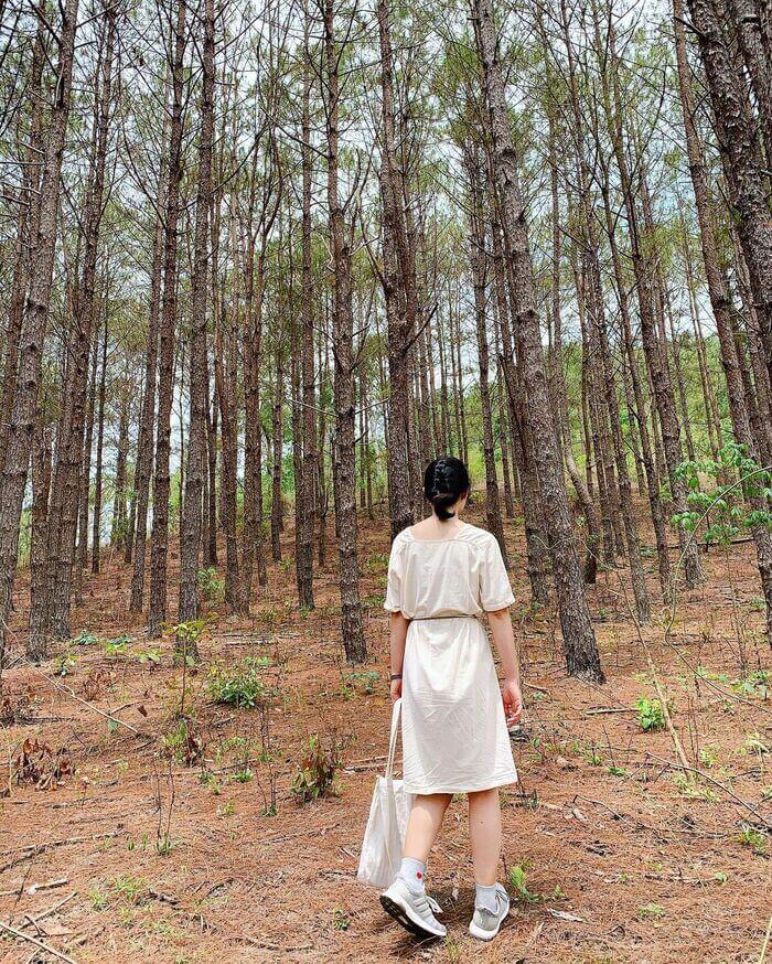 Vườn quốc gia Kon Ka Kinh