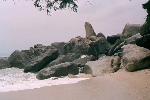 Hon Ong의 고유한 기능을 발견하십시오.