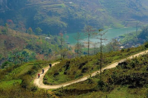 Ha Giang の山の赤い稲の花に恋をする