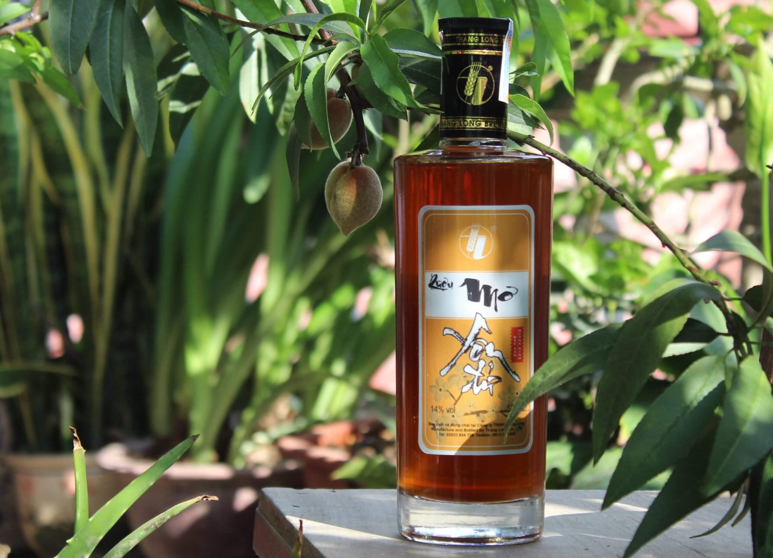 温かい味わいのイェントゥアプリコットワイン |次のチャンネル