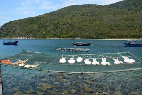 ビッチダム漁村