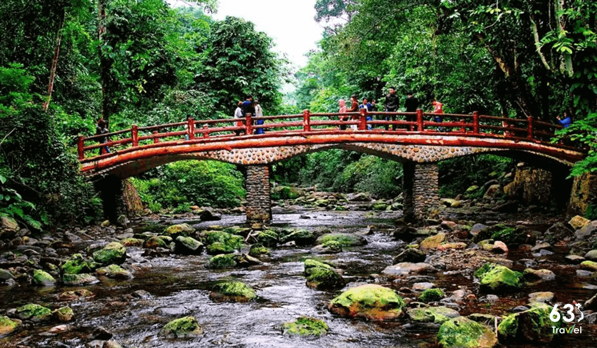 Vườn quốc gia Xuân Sơn - Trải nghiệm hệ sinh thái đa dạng và độc đáo