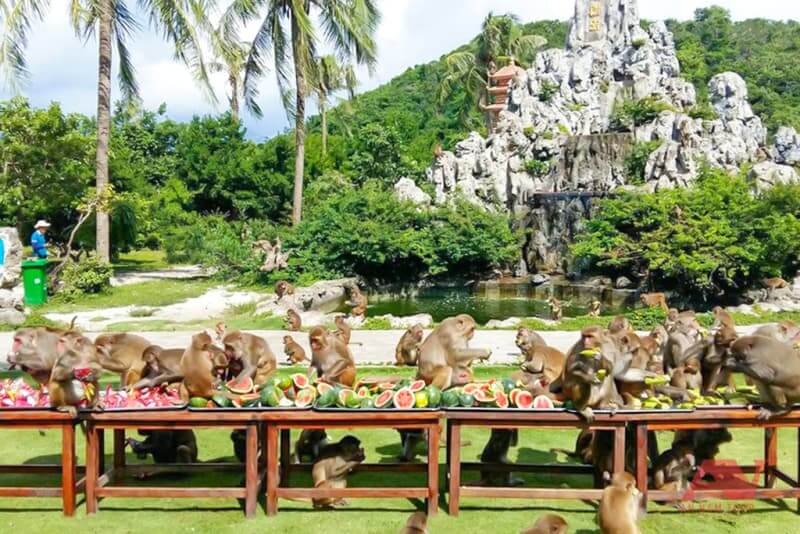 Đảo Khỉ Nha Trang