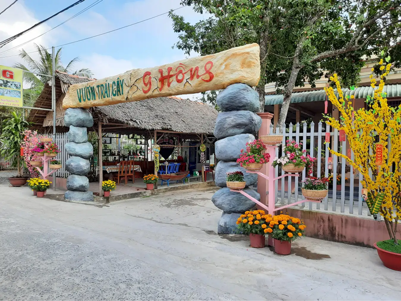 9 ホン フルーツ ガーデンは、カントー市フォン ディエン地区、ニョンミー村 398 にあります。