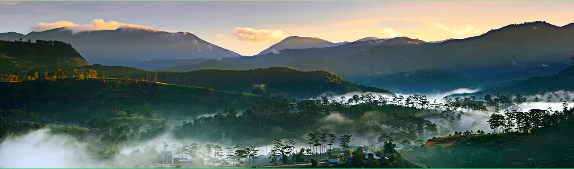 비두누이바 국립공원