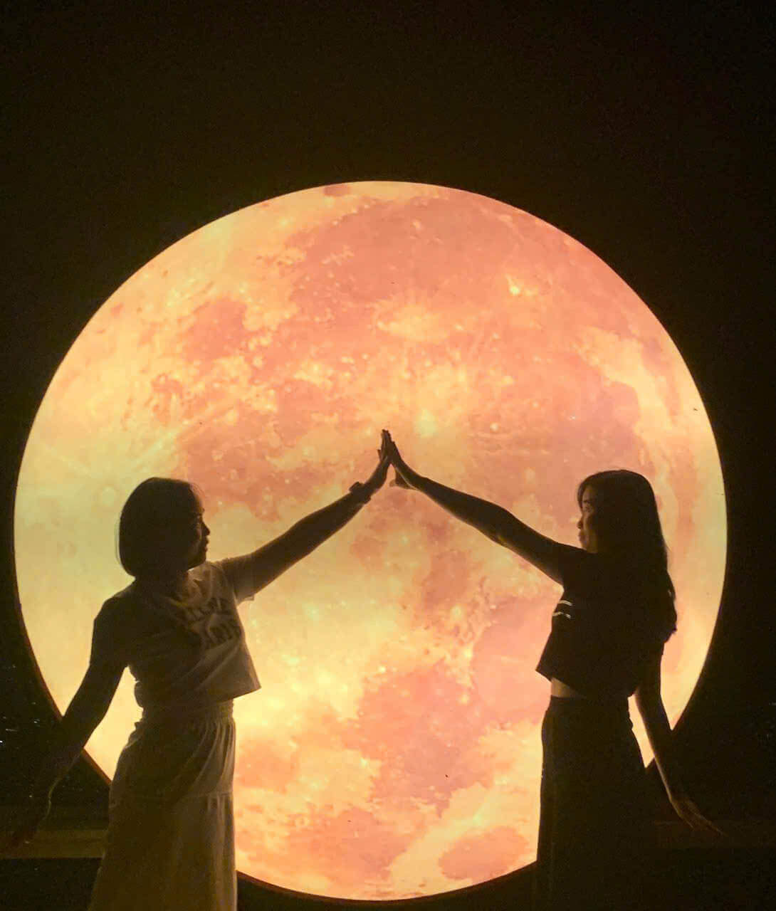 ARISTA HOMESTAY SAPA