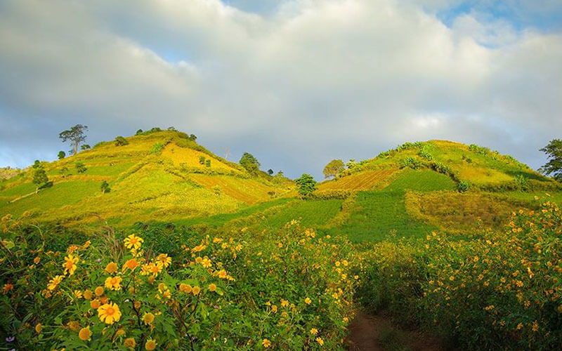 중앙 고원의 광활한 산과 숲 가운데 추당야(Chu Dang Ya) 화산은 거꾸로 뒤집힌 거대한 그릇처럼 보입니다.