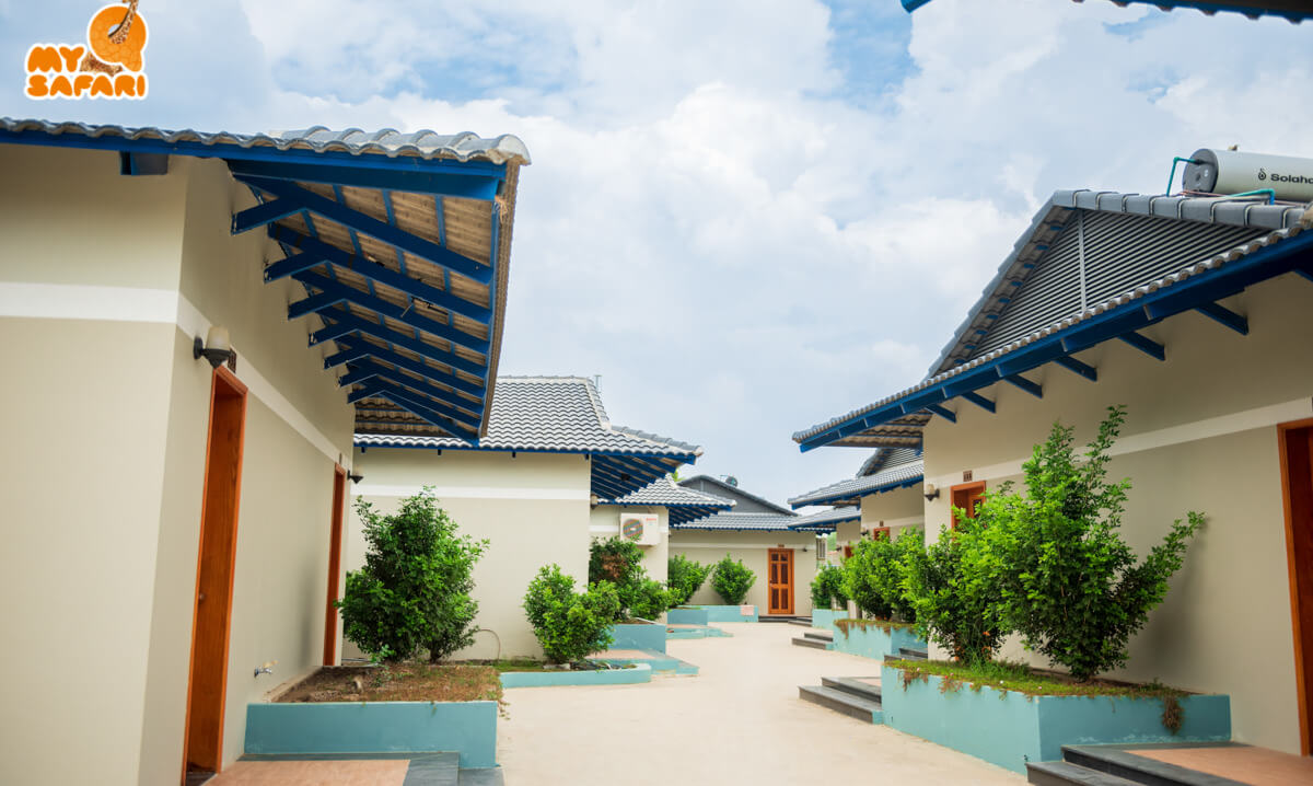 リゾートエリア