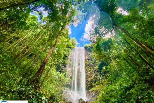 Vẻ đẹp huyền bí của thác Pa Sỹ