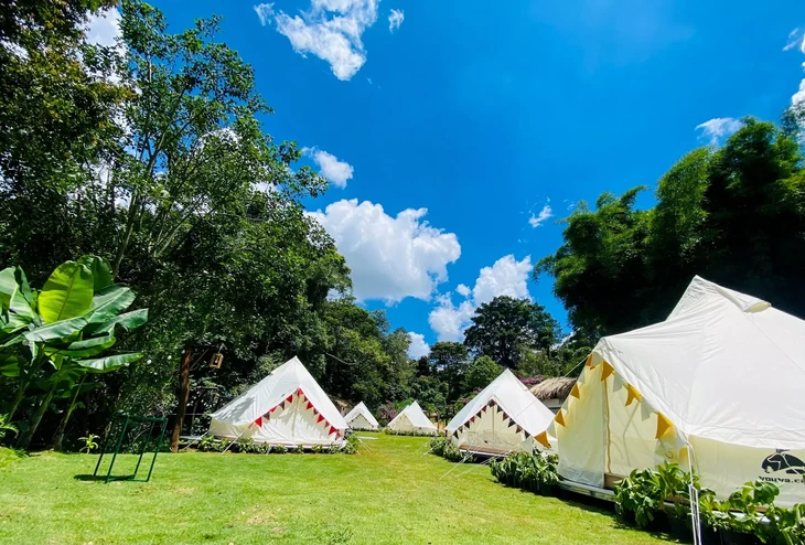 호아 손 디엔 트랑