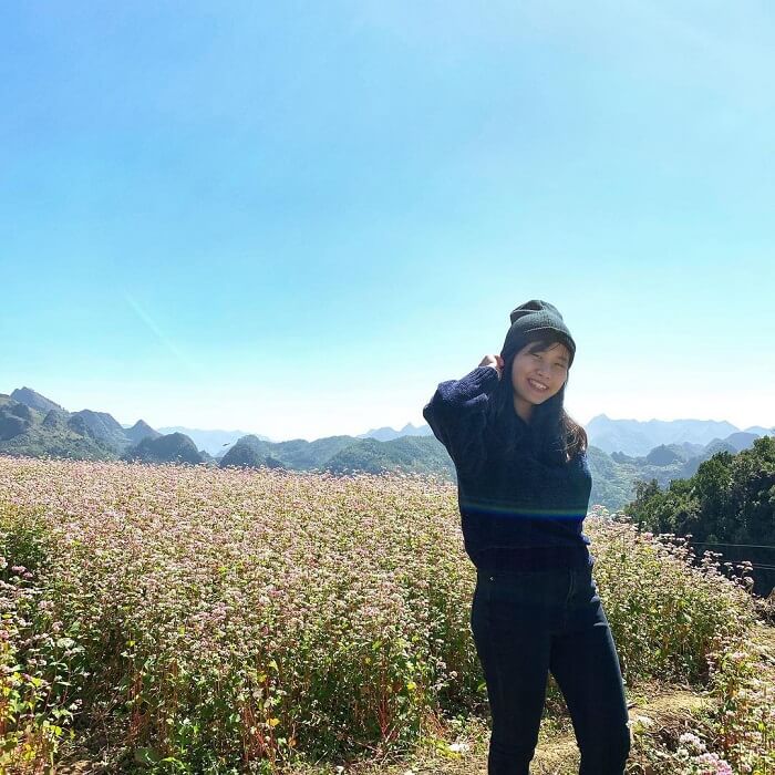 冬が来たので、そばの花を見にルンタオに行きましょう。