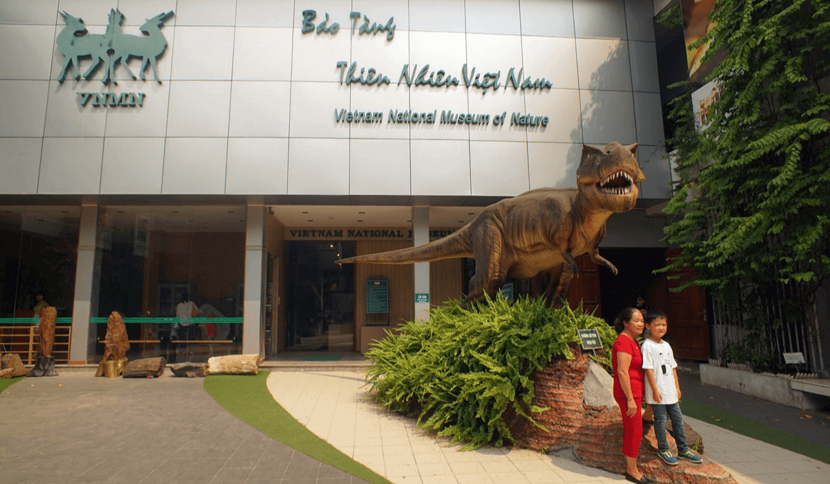 Bảo tàng Thiên nhiên Hà Nội - "Thế giới động thực vật" thu nhỏ siêu thú vị 