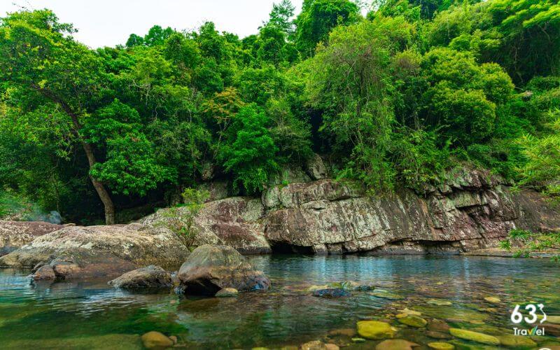 Rừng nguyên sinh Khe Rỗ