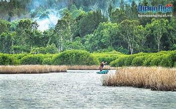 クアンガイ：バウカカイ地区の奇妙な生態学的美しさ