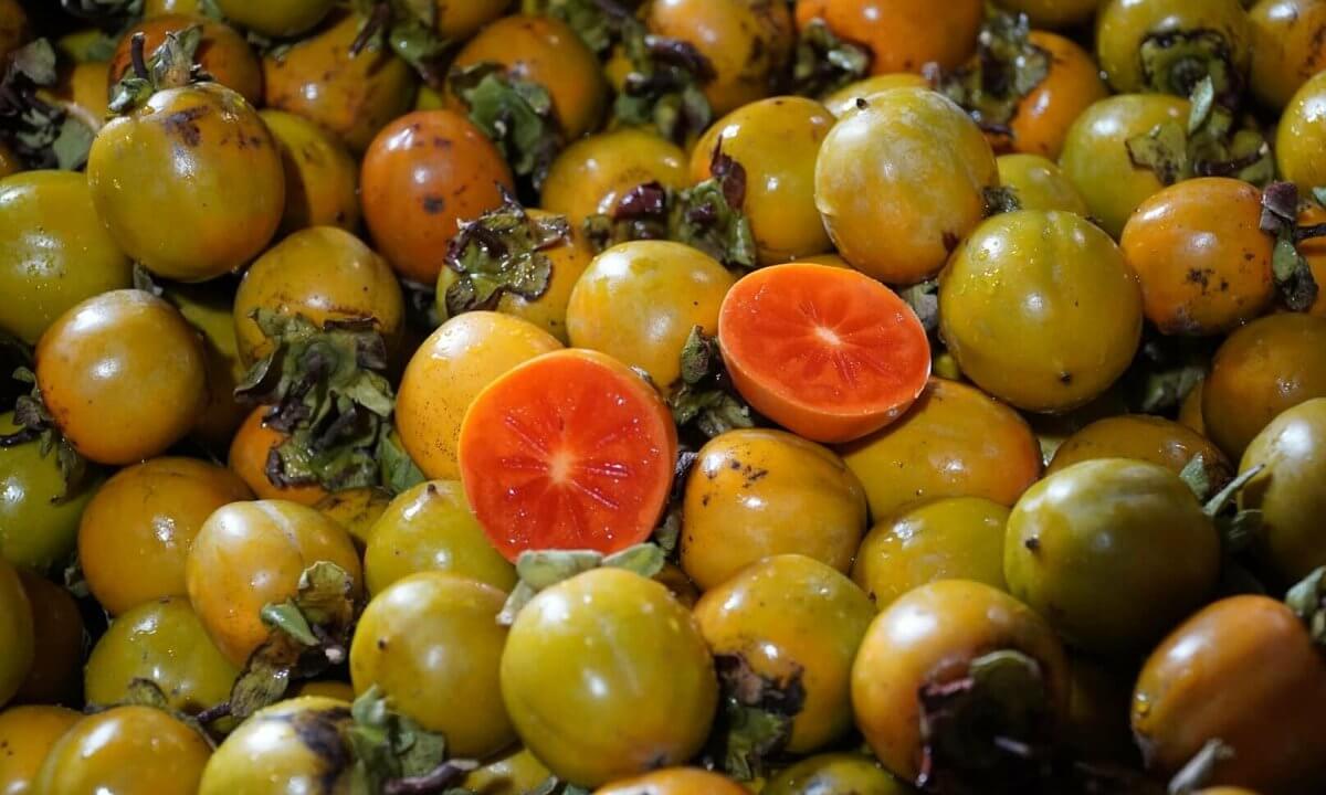 Na Hang tourist area