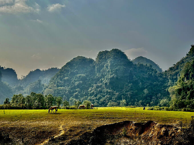 Thảo nguyên Đồng Lâm