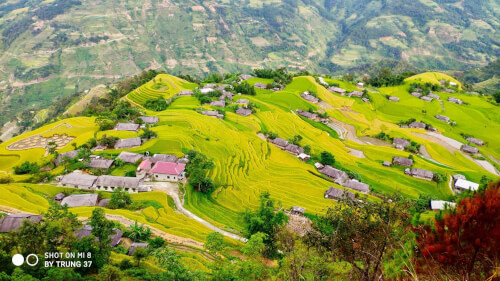 Hoàng Su Phì ngày đẹp trời