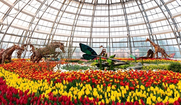 King's Garden Nha Trang is known as the only zoo in Nha Trang with many interesting experiences for each visitor.