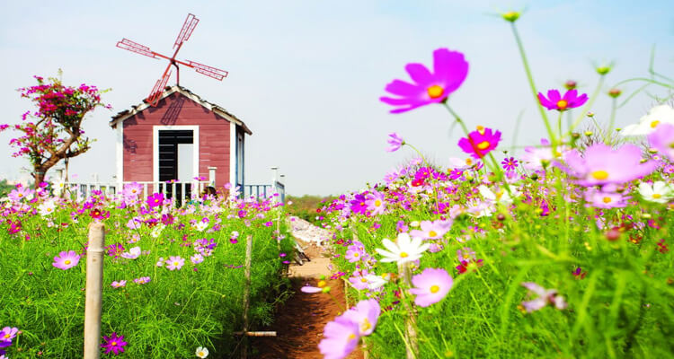 若者に人気のスポットで、結婚式の写真を撮るカップルもよく訪れます。