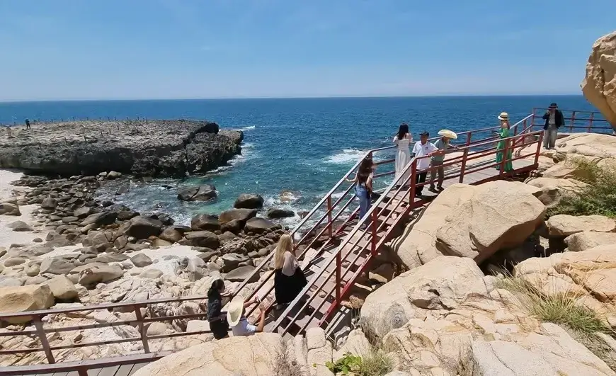 CAVE - GREENER - SHEEP FIELD