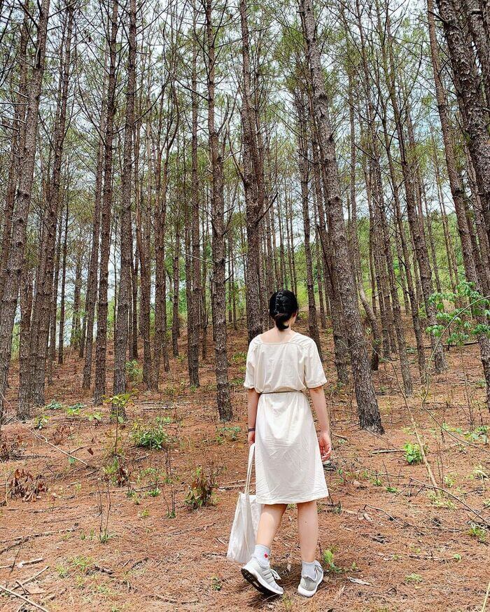 여름은 Kon Ka Kinh으로 피크닉을 떠나기에 이상적인 시기입니다.