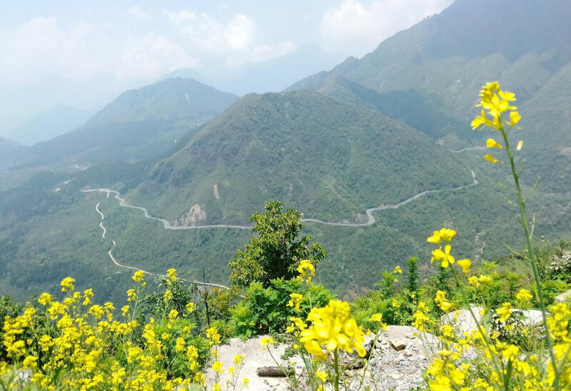 Khu bảo tồn thiên nhiên Mường Tè