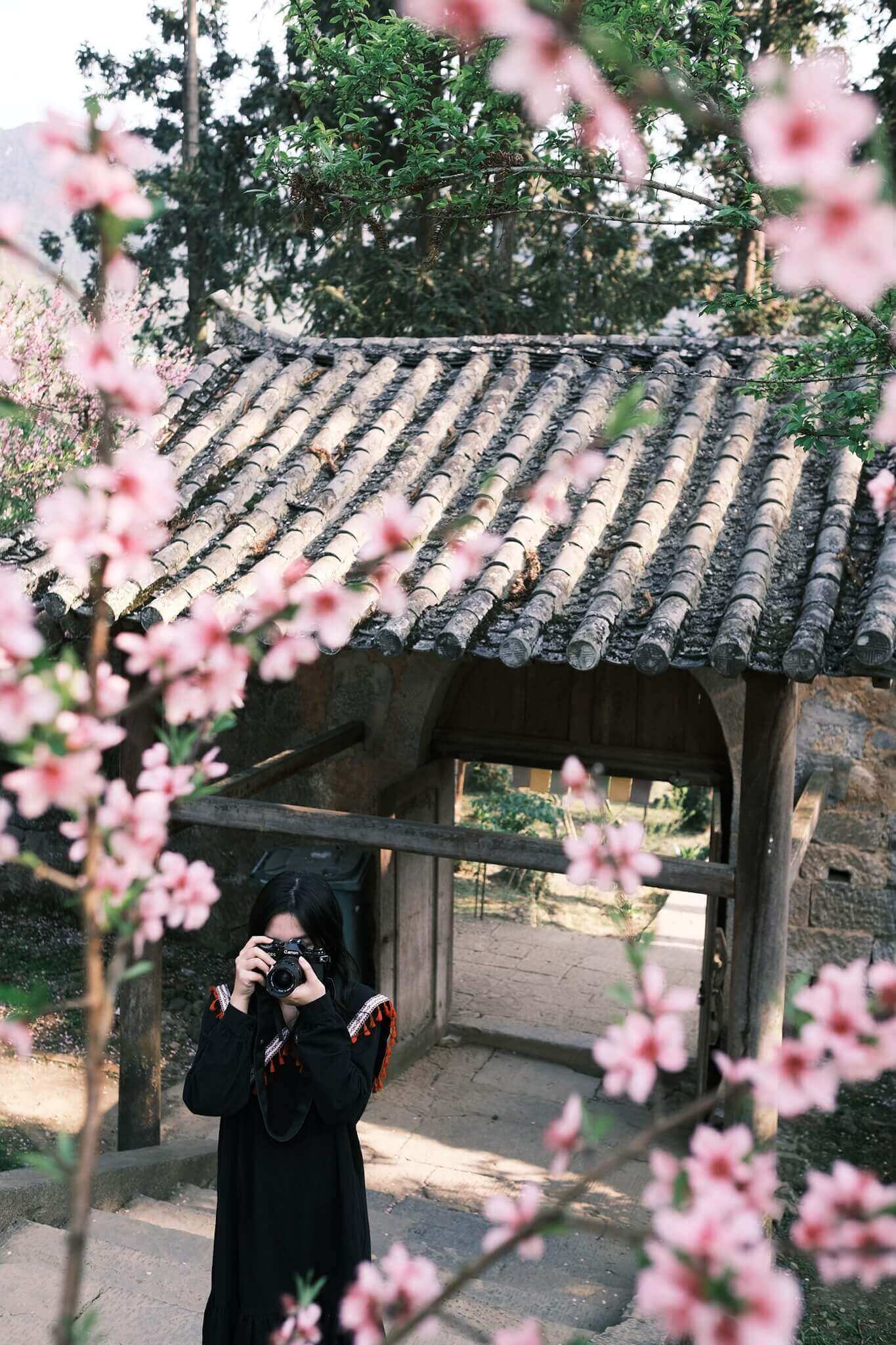 Dinh thự họ Vương,mùa hoa đào thật đẹp