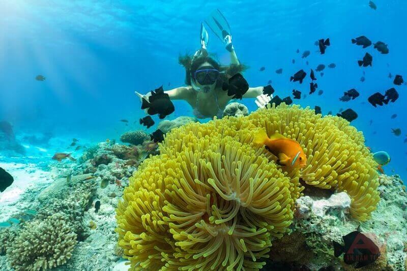 MINI BEACH - VỊNH SAN HÔ