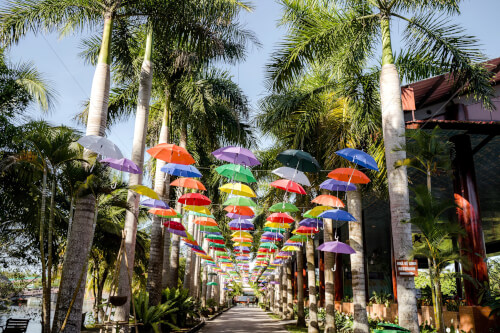 Ngày 4 - CẦN THƠ - CHỢ NỔI CÁI RĂNG - TP.HỒ CHÍ MINH (Ăn sáng, trưa)