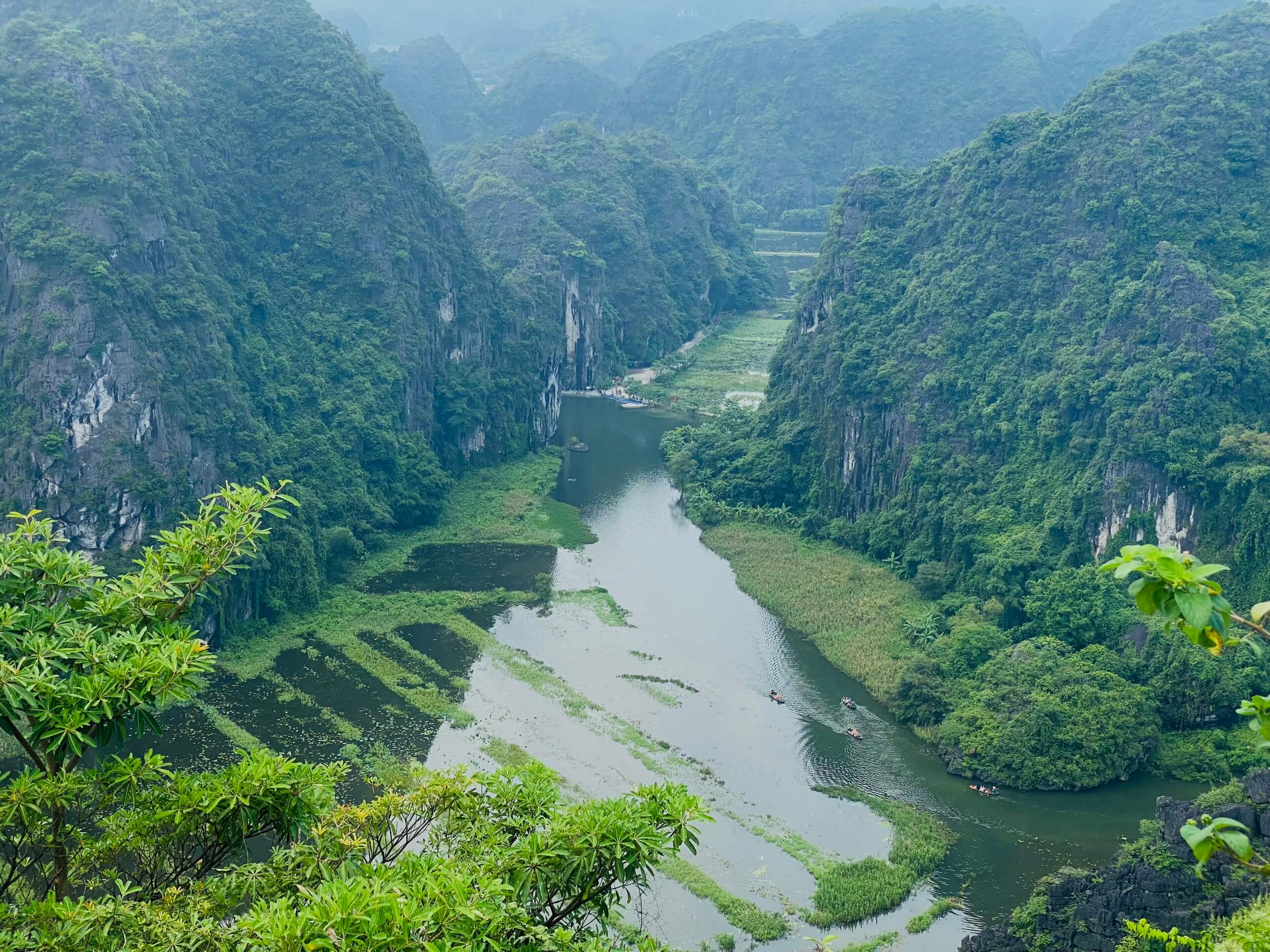 Bí Quyết Khám Phá Hang Múa: Kinh Nghiệm Du Lịch Không Thể Bỏ Qua