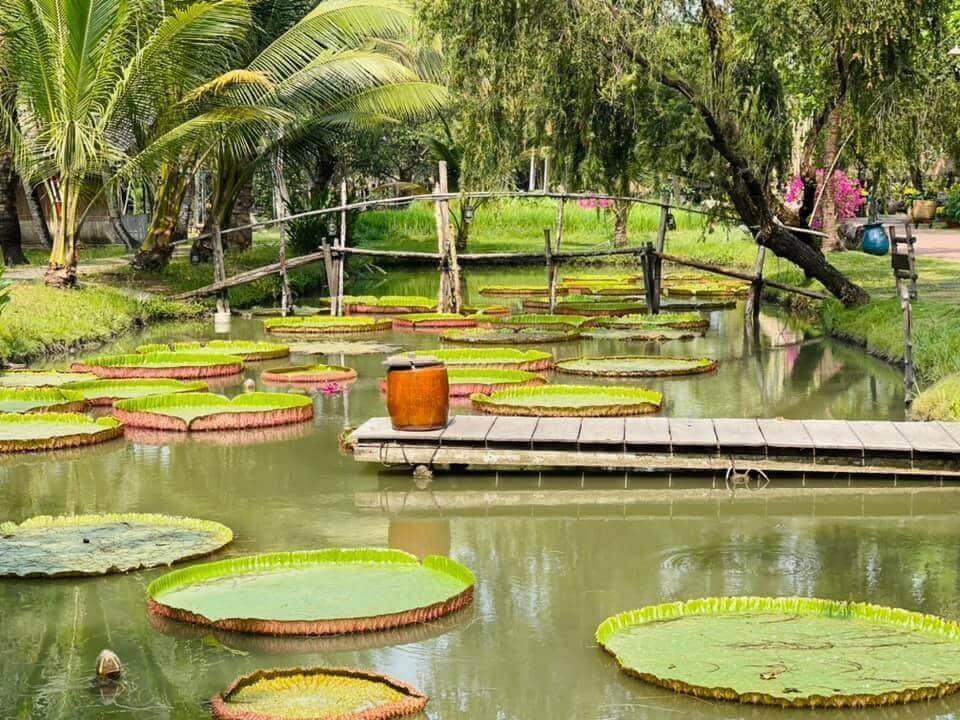 Khu du lịch sinh thái Bình Quới