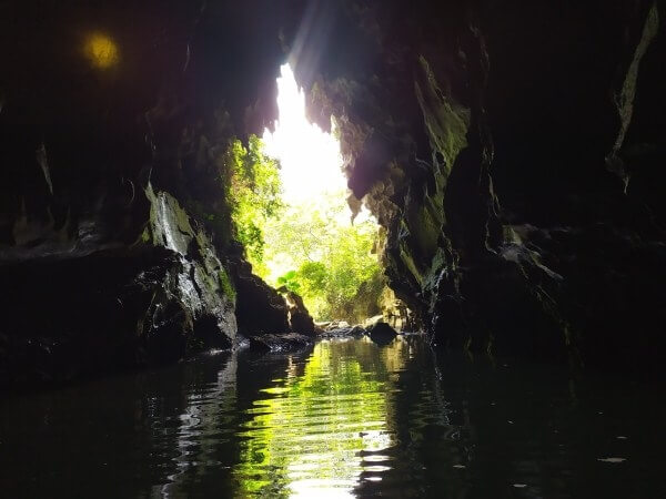 洞窟の中から見た山と森の風景。