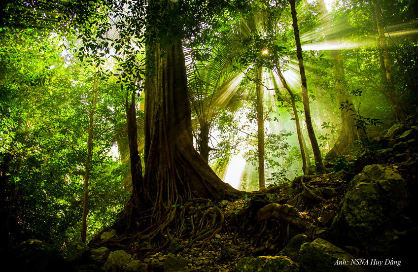 추맘레이 국립공원
