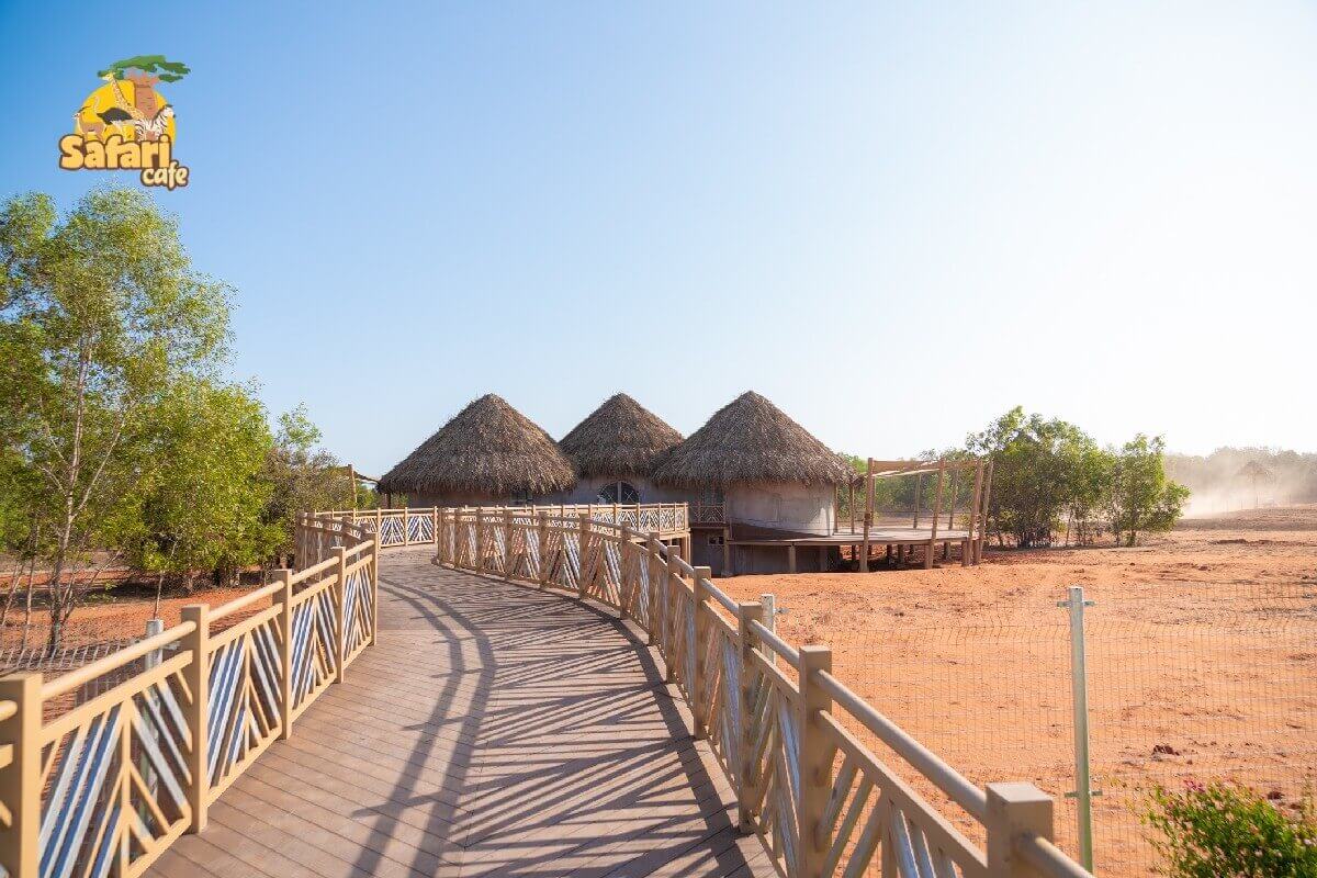 サファリカフェ ファンティエットのチケット