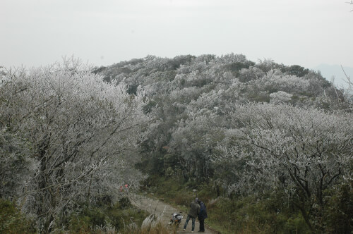 Rừng quốc gia Phia Oắc - Phia Đén ngày trời giá rét
