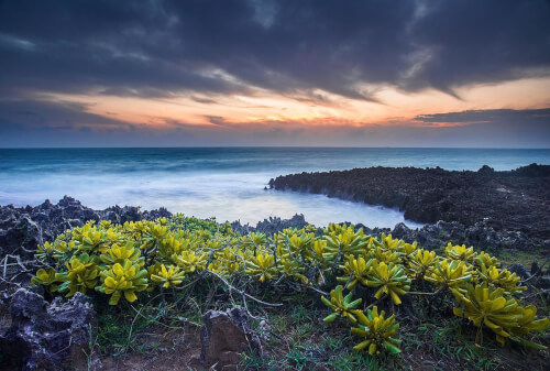 Vinh Hy Bay의 풍경과 함께 초현실주의에 빠지다