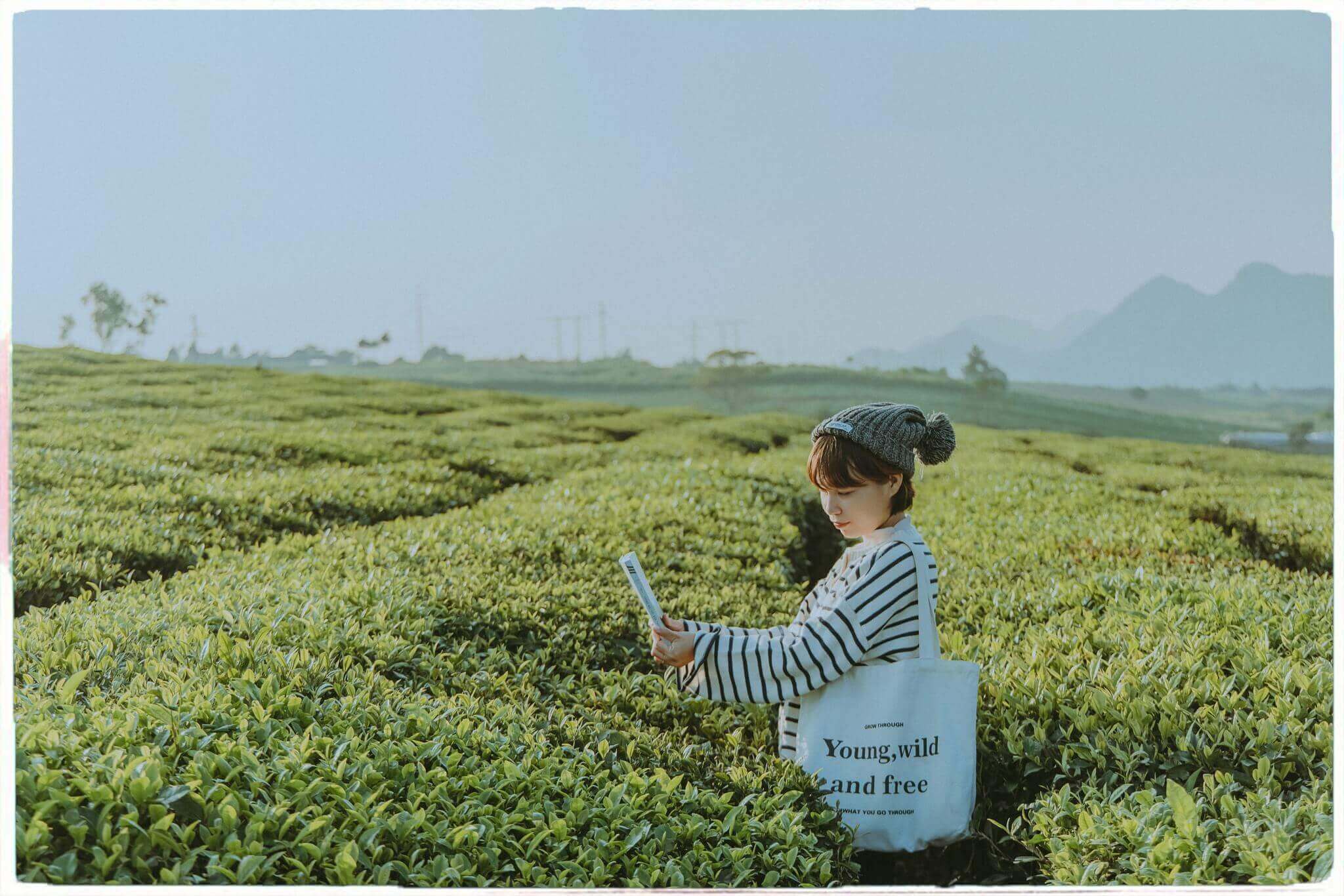 Đồi chè Mộc Châu có gì mà giới trẻ rần rần kéo đến Check-in thế?