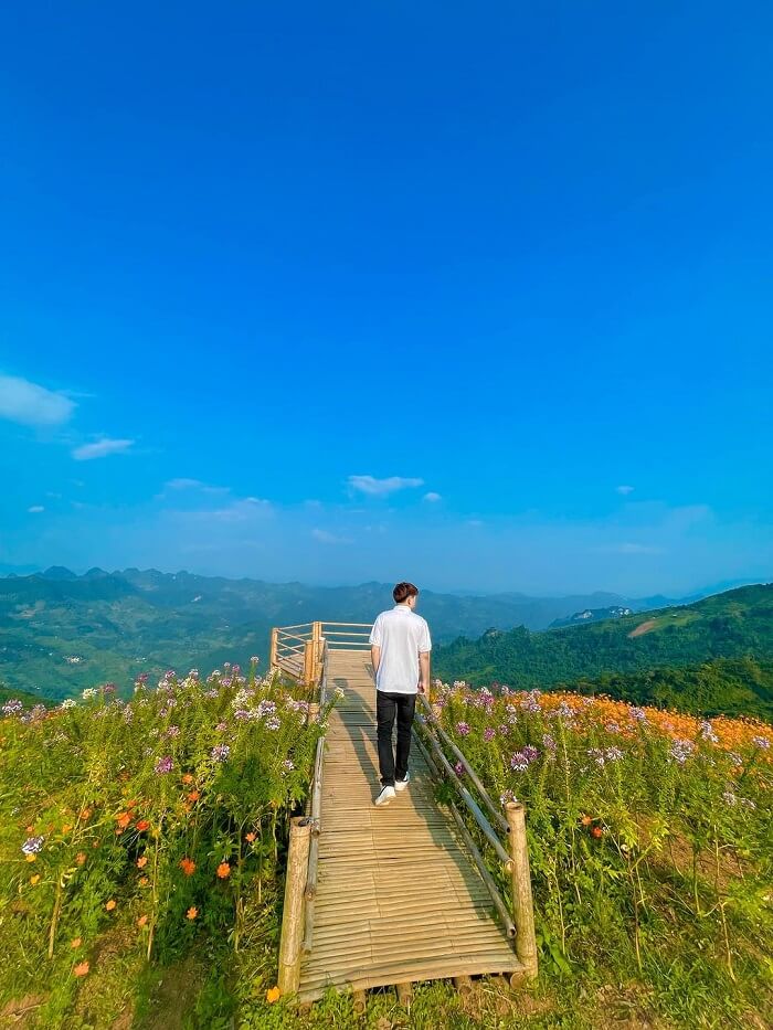 若者向けにチェックインしてバーチャルに住むための場所。